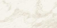 &ɥ ܡ 600x1200 :å ۥ磻 (57802NGC)