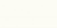 &ɥ ܡ 600x1200 :ץ졼 ۥ磻 (57805NGC)