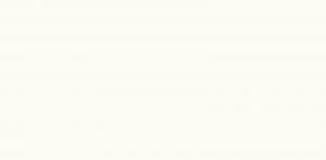 &ɥ ܡ 600x1200 :ץ졼 ۥ磻
