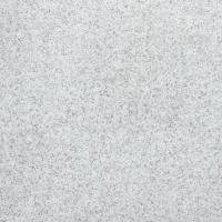&ɥ ȥƥ 600 :ۥ磻ȥ˥å (57847NGC)