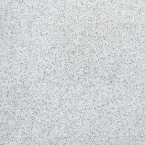 &ɥ ȥƥ 600 :ۥ磻ȥ˥å