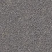 &ɥ ȥƥ 600 :֥å˥å (57848NGC)