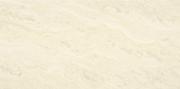 &ɥ Х󥢡Х 600x1200 :Хӥ (57858NGC)