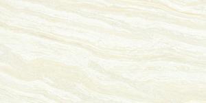 &ɥ Х󥢡Х 600x1200 :Х󥪥˥