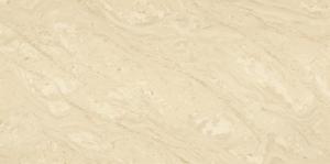 &ɥ Х󥢡Х 600x1200 :Х󥭥
