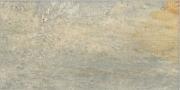 &ɥ ܥ륱 200x400 :Х륲 (57886NGC)