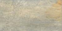 &ɥ ܥ륱 200x400 :Х륲 (57886NGC)