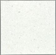 ��&�ɥ����� �ƥ饾�������� 400�� ��:�ݲ� �ڼ����б��ʡ� (57913NGC)