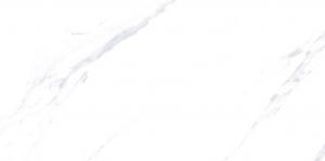 &ɥ ߥåޡ֥ϥΥ 300x600 :饹ۥ磻