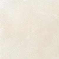 &ɥ 󥸥 600 :ȥꥢ (57955NGC)