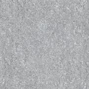 &ɥ 󥸥 600 :ȥꥨ (57956NGC)