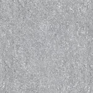 &ɥ 󥸥 600 ޥå :ȥꥨ