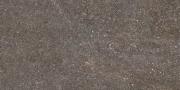 &ɥ 󥸥 300x600  : (57960NGC)