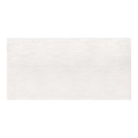  [BA] 600300ʿ :BA-1 (58462DTT)