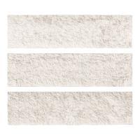 ɥ ֥å[CAV] ʿ :CAV-1 (58570DTT)