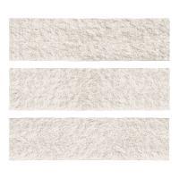 ɥ ֥å[CAV] ʿ :CAV-1 (58571DTT)