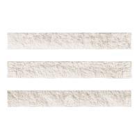 ɥ ֥å[CAV] ܡ :CAV-1 (58573DTT)