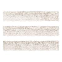 ɥ ֥å[CAV] ܡ :CAV-1 (58574DTT)