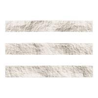 ɥ ֥å[CAV] ܡ :CAV-1 (58576DTT)