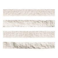 ɥ ֥å[CAV] ߥå :CAV-1 (58577DTT)