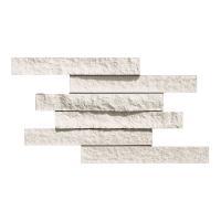 ɥ ֥å[CAV] ˥å :CAV-1 (58579DTT)