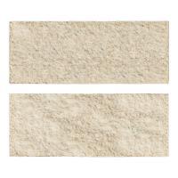 ɥ ֥å[CAV] ʿ :CAV-2 (58581DTT)