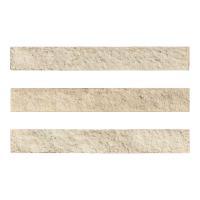 ɥ ֥å[CAV] ܡ :CAV-2 (58582DTT)