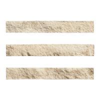 ɥ ֥å[CAV] ܡ :CAV-2 (58583DTT)