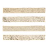 ɥ ֥å[CAV] ߥå :CAV-2 (58584DTT)