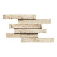 ɥ ֥å[CAV] ˥å :CAV-2 (58586DTT)