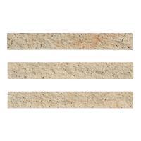 ɥ ֥å[CAV] ܡ :CAV-3 (58588DTT)