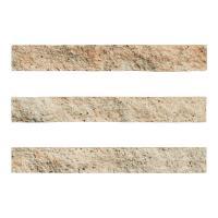 ɥ ֥å[CAV] ܡ :CAV-3 (58589DTT)