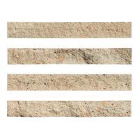 ɥ ֥å[CAV] ߥå :CAV-3 (58590DTT)