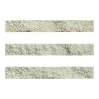 ɥ ֥å[CAV] ܡ :CAV-4 (58595DTT)