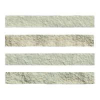 ɥ ֥å[CAV] ߥå :CAV-4 (58596DTT)