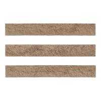 ɥ ֥å[CAV] ܡ :CAV-5 (58601DTT)