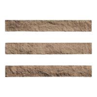 ɥ ֥å[CAV] ܡ :CAV-5 (58602DTT)