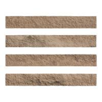 ɥ ֥å[CAV] ߥå :CAV-5 (58603DTT)