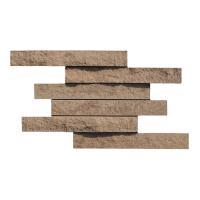 ɥ ֥å[CAV] ˥å :CAV-5 (58605DTT)