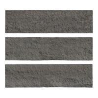 ɥ ֥å[CAV] ʿ :CAV-6 (58608DTT)