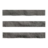 ɥ ֥å[CAV] ܡ :CAV-6 (58613DTT)