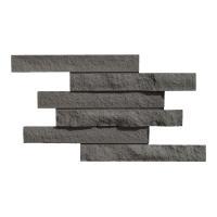 ɥ ֥å[CAV] ˥å :CAV-6 (58616DTT)