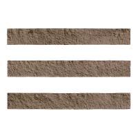 ɥ ֥å[CAV] ܡ :CAV-8 (58626DTT)