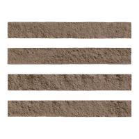 ɥ ֥å[CAV] ߥå :CAV-8 (58627DTT)