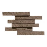 ɥ ֥å[CAV] ˥å :CAV-8 (58629DTT)