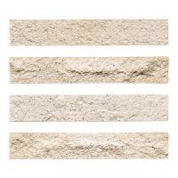 �ɥ����� ������ܡ�����[CEB] �ܡ����� ��:CEB-100 (58643DTT)