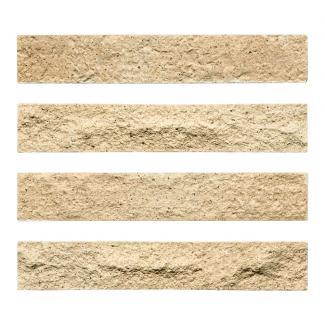 �֥��ɥ�����:�ɥ����� ������ܡ�����[CEB] �ܡ����� ��:CEB-200(58645DTT)
