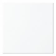 ɥ 쥤[CFW] 200ʿ :CFW-1M (58652DTT)