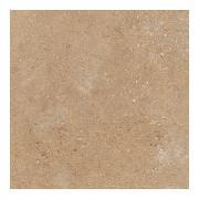  쥤[CLA] 600ʿ :CLA-102 (58694DTT)