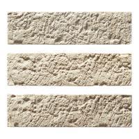 �ɥ����� �ҥ륺�ͥ�����[CNH] ������ʿ ��:CNH-100 (58733DTT)